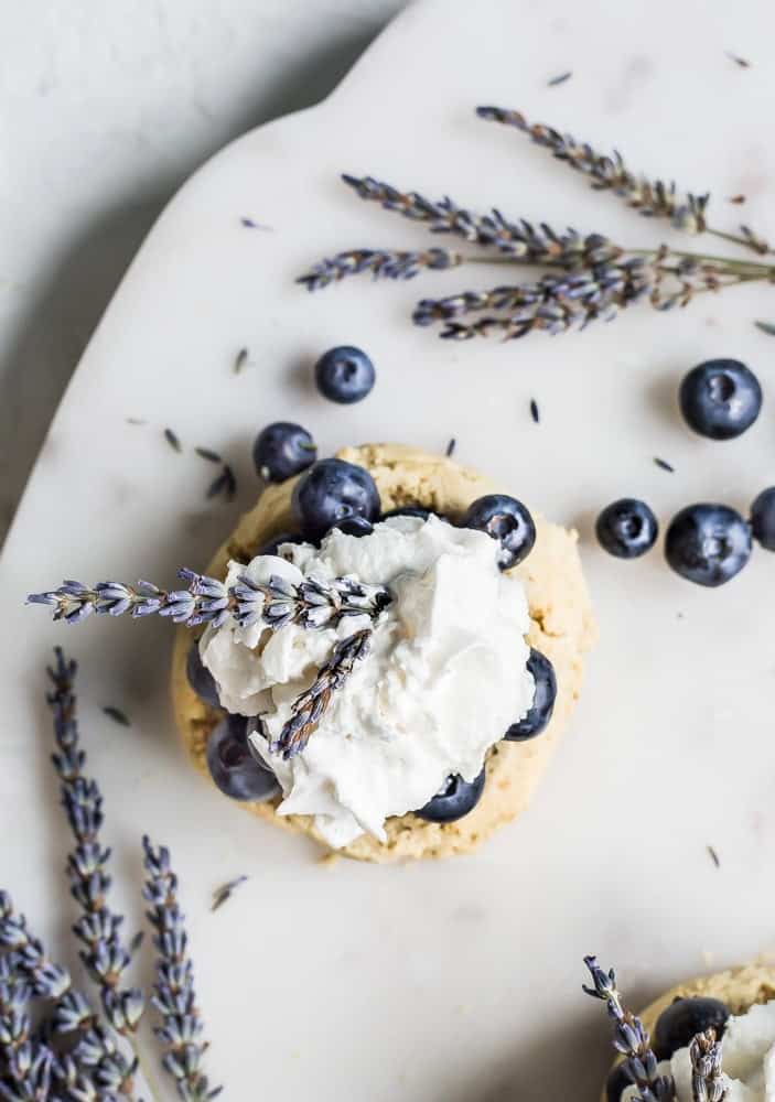 blueberry recipes