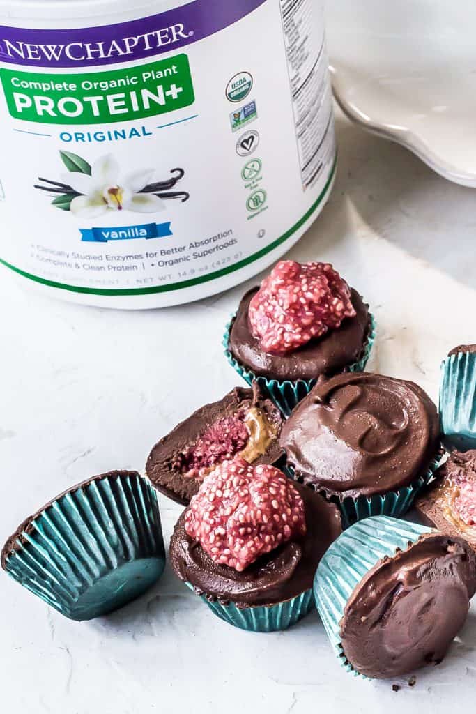 plant based protein powder