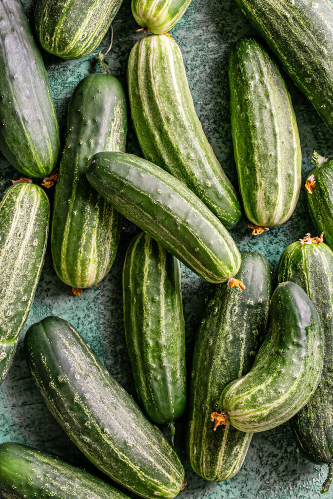cucumbers from the garden piled on top of each other