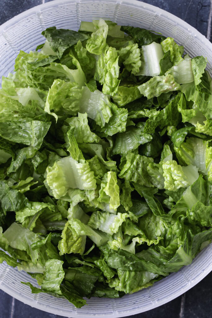chopped romaine lettuce in a salad spinner.