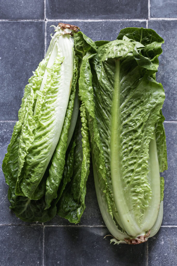 two whole heads of romaine lettuce.