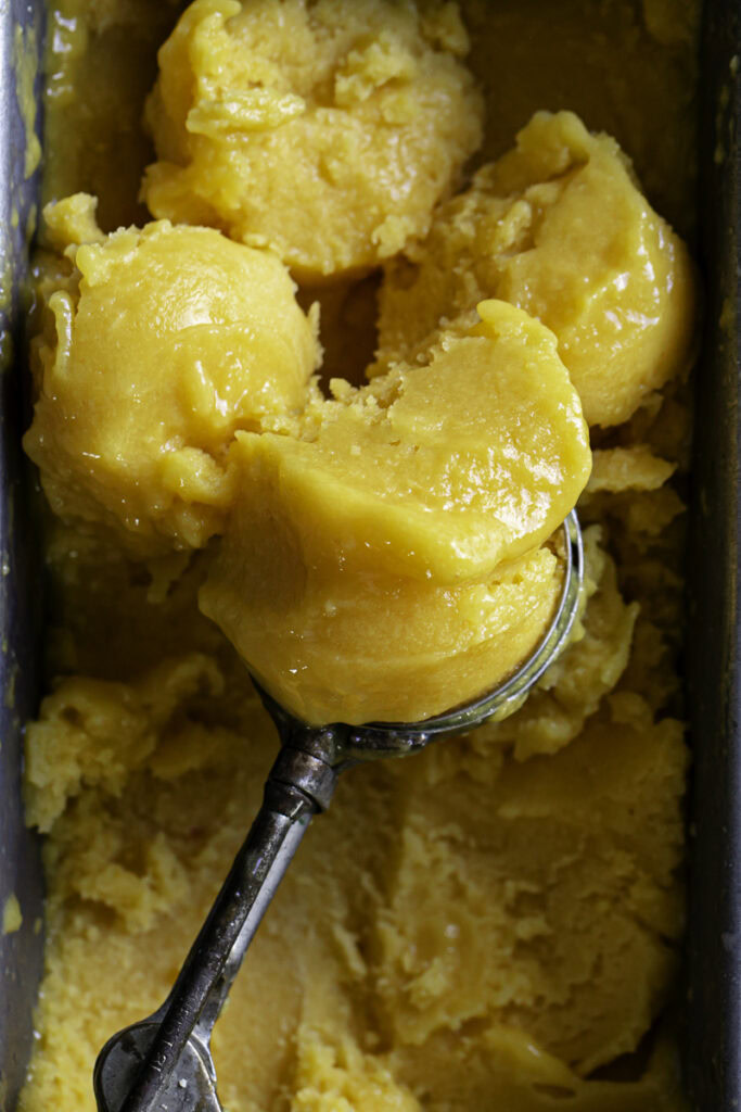 close up of an ice cream scoop scooping mango peach sorbet from the loaf pan.